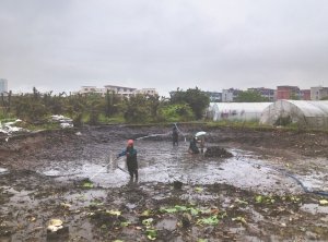 峰峰矿河道鱼塘清淤